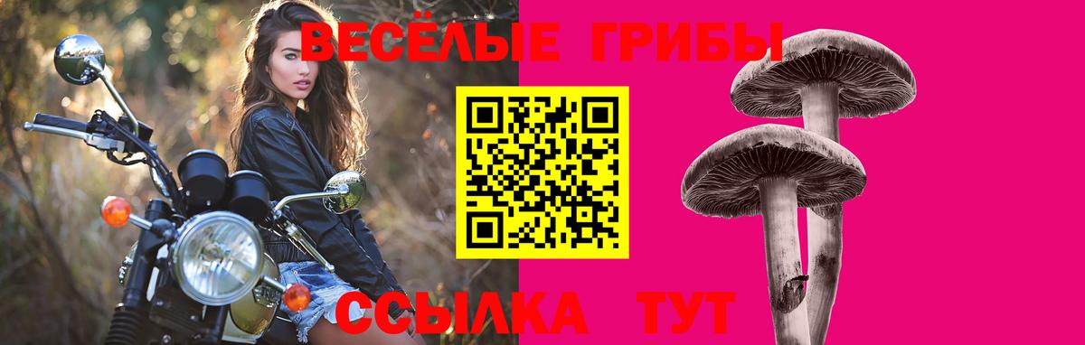 Шадринск  Галлюциногенные грибы прущие грибы  Вход с VPN  Псилоцибиновые грибы Magic Shrooms 